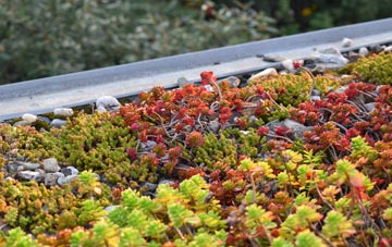 the cost of Tregorden green roof installation