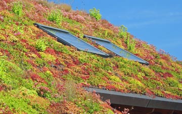 Tregorden living roof systems