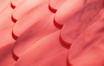 Tregorden plastic roof costs