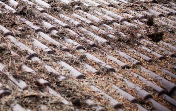 Tregorden roof cleaning companies