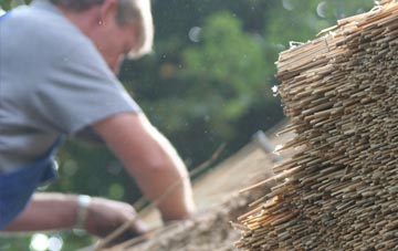 professional Tregorden thatchers