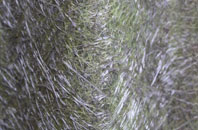 Tregorden fibreglass roof work