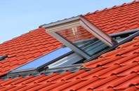 Tregorden roof window